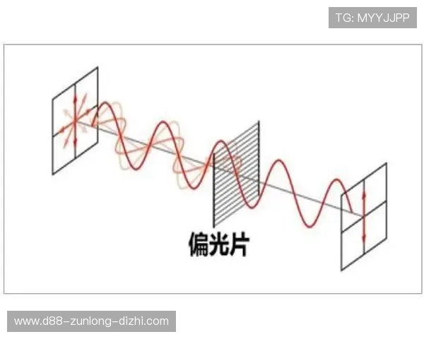 亚博体育百家乐官网：平台技术创新与未来发展趋势分析