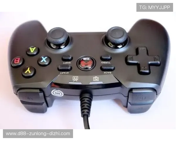 九游会尊龙客户端下载步骤详解轻松体验高品质游戏乐趣