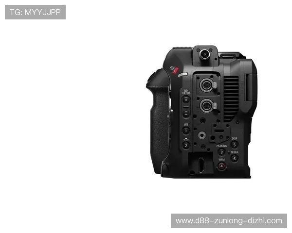 尊龙z6ag旗舰厅安全保障措施全面升级，保障玩家账号信息与资金安全